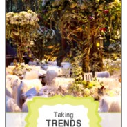 Going high-class on a low budget