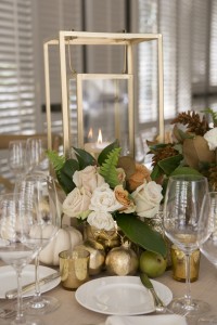 Christine Bentley Photography