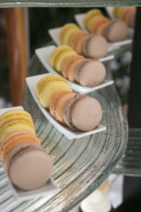 Christine Bentley Photography