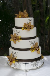 Christine Bentley Photography