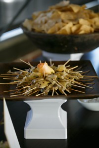 WIPA ATL_Apr2014_Milena Santoro