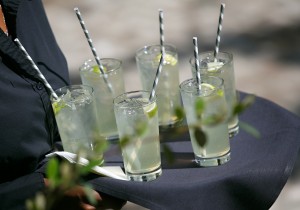 WIPA ATL_Apr2014_Milena Santoro